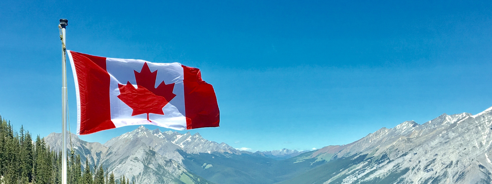 Votre partenaire pour un recrutement mondial efficace!